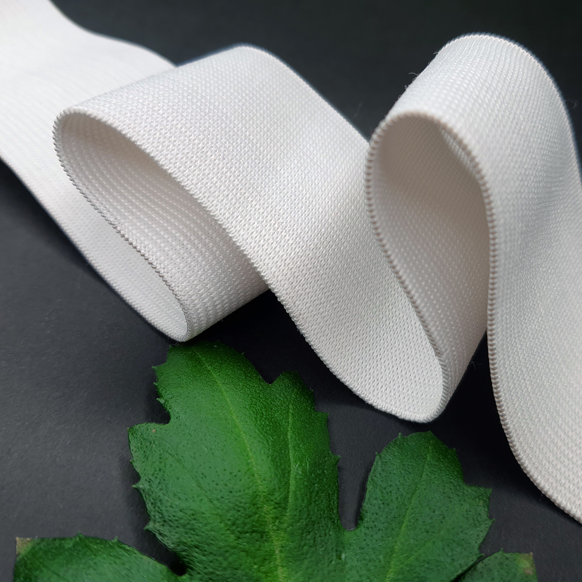 Тесьма эластичная вязаная белая (50мм)