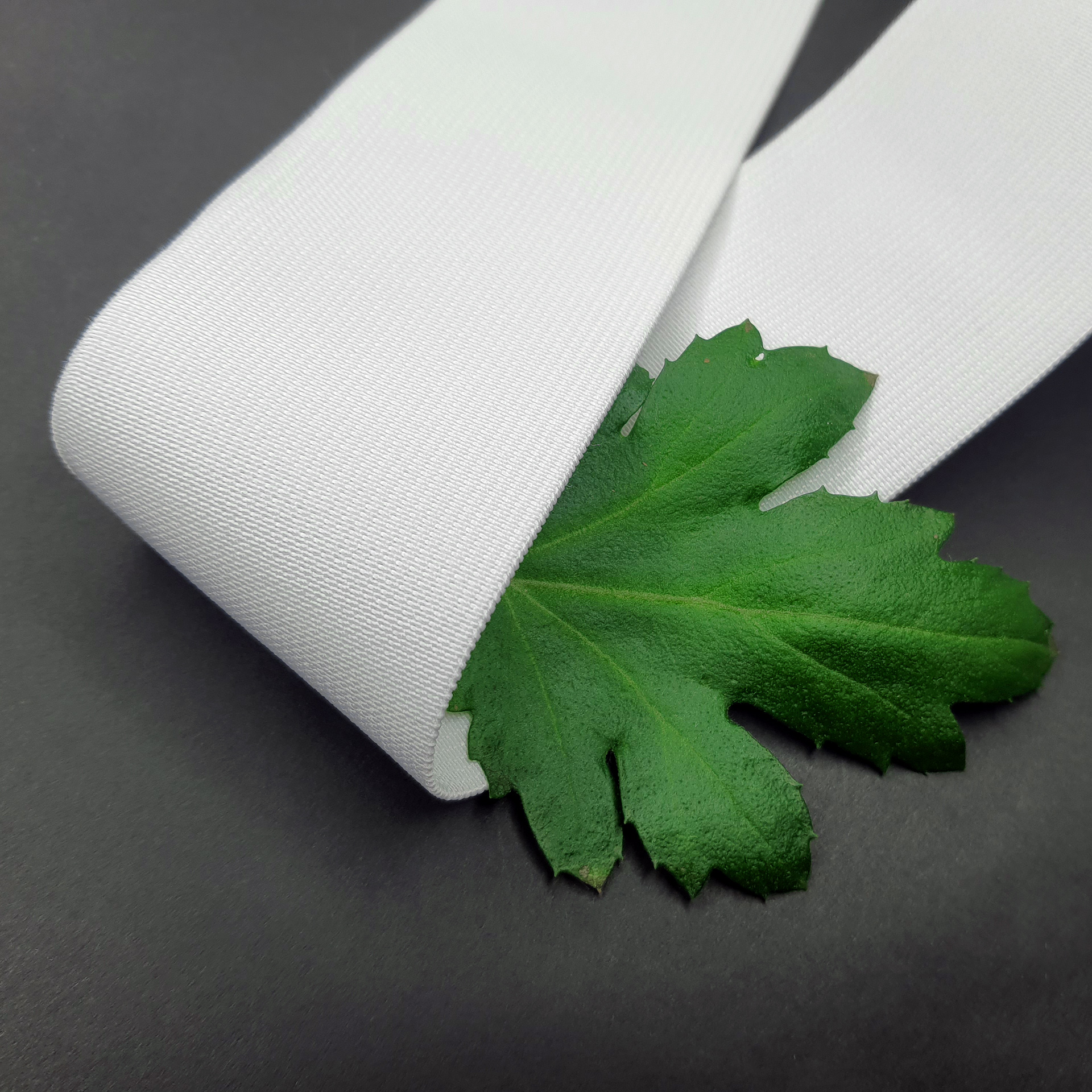 Лента эластичная тканая белая (50мм)